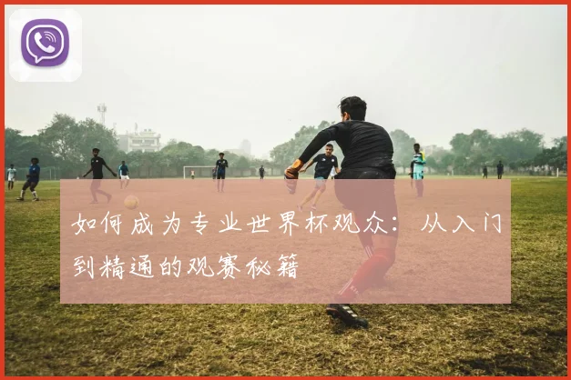 如何成为专业世界杯观众：从入门到精通的观赛秘籍